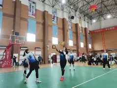 开云体育-包含排球热身赛掀起高潮，渝州白虎队翻盘中原天狼队，战至最后一刻——精神属性拉满的词条